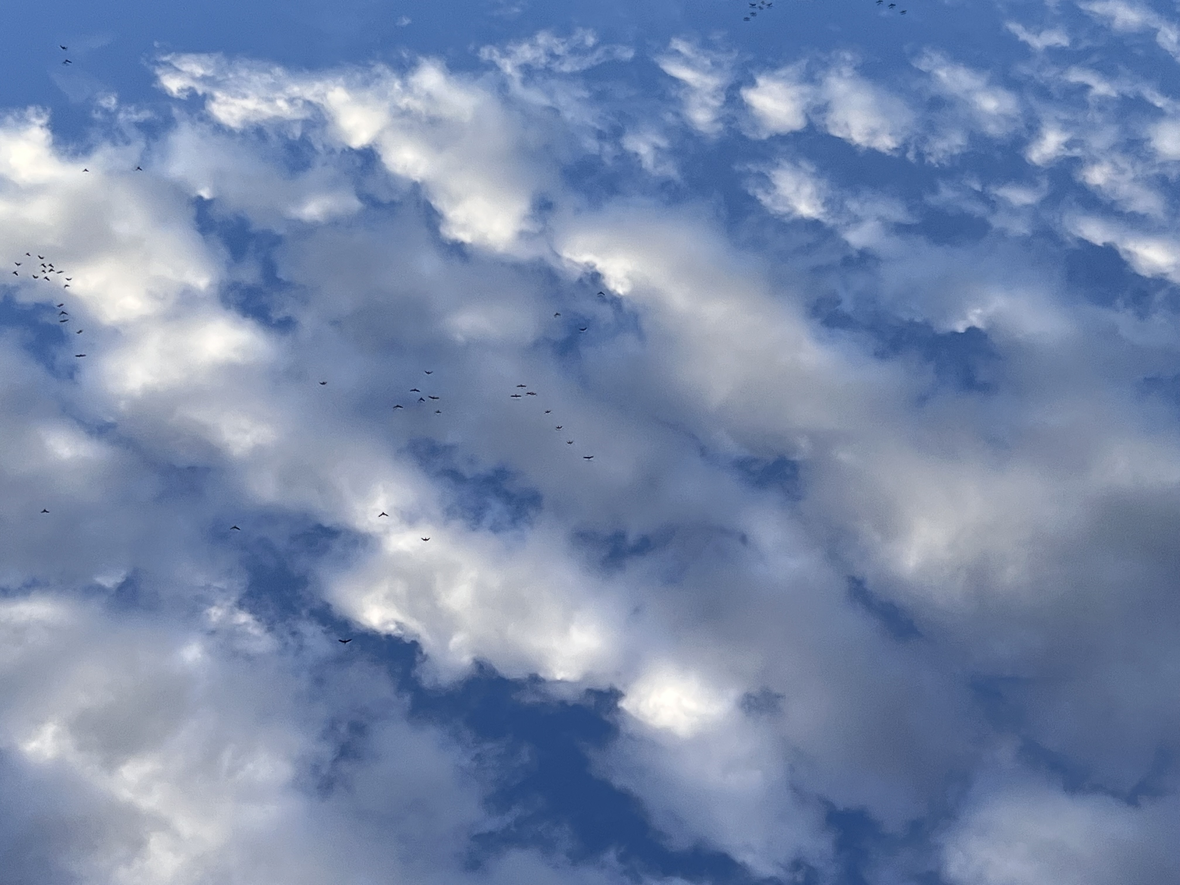 ./2023/01 - New Bern/IMG_6135.JPG